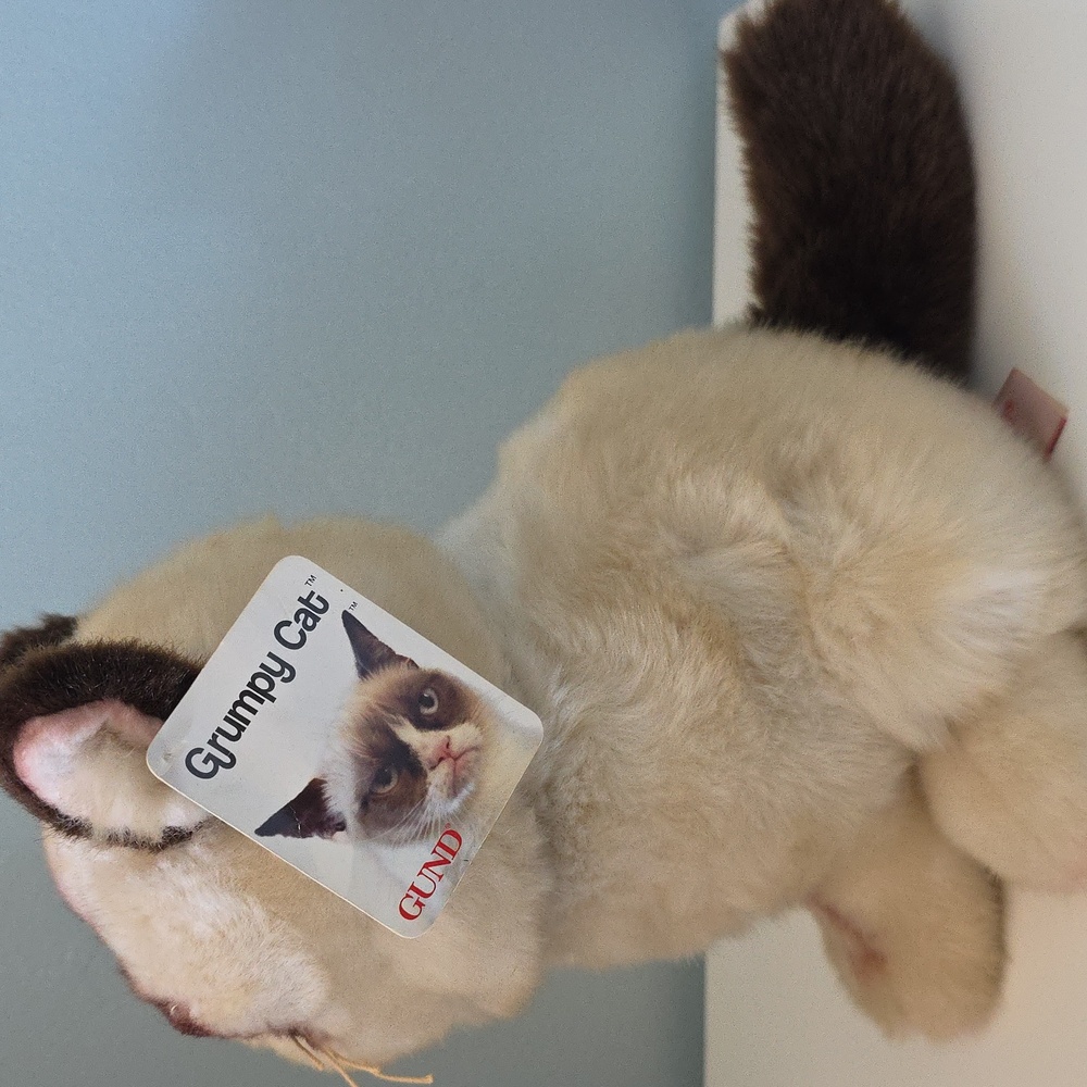 Gund Grumpy Cat Plush Toy With Tags - Picture 3 of 10